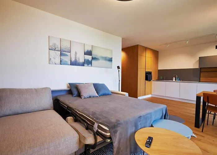 Rv Citrin Apartament